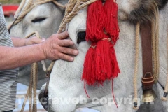 Processione del Santissimo Salvatore