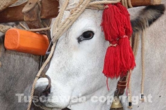 Processione del Santissimo Salvatore