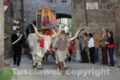 Processione del Santissimo Salvatore
