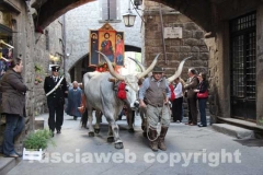 Processione del Santissimo Salvatore