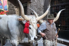 Processione del Santissimo Salvatore