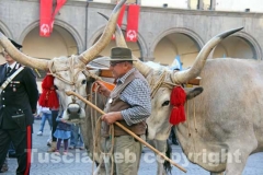 Processione del Santissimo Salvatore