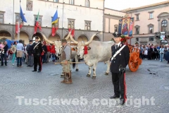 Processione del Santissimo Salvatore
