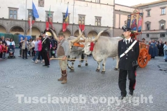 Processione del Santissimo Salvatore