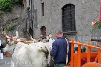 La processione del santissimo Salvatore