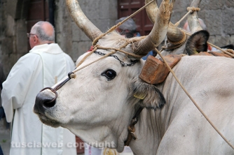La processione del santissimo Salvatore