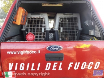 Montefiascone - Ragazzo scomparso - Le ricerche delle unità cinofile