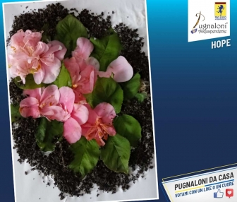Pugnaloni da casa, i quadri in concorso