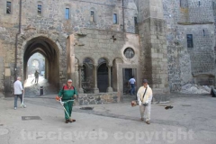 Puliamo Viterbo a San Martino