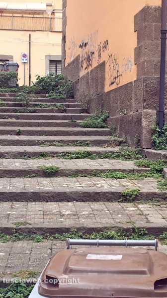 "Pulita è bella"