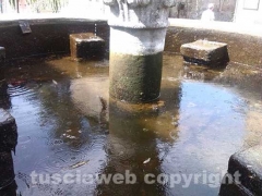 La fontana di piano ripulita e con i pesci