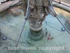 La fontana di piano ripulita e con i pesci