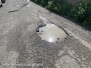 Quartiere Pilastro abbandonato