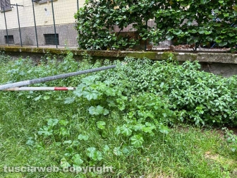 Viterbo - Quartiere Pilastro - Il giardino in via Bruno Buozzi