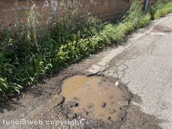 Viterbo - Parco Peppino Impastato - Erba non tagliata dal comune al limite della strada con buca e acqua