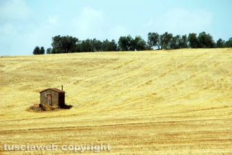 La campagna attorno a Valentano