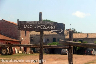 Rave party a Valentano - Ragazzo morto nel lago di Mezzano