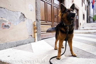 La laurea di Rami Torkhani