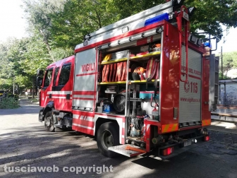 Viterbo - Ramo cade su viale Trento - I vigili del fuoco