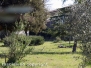 Rapina in villa con sparatoria