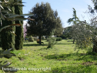Graffignano - Rapina in villa con sparatoria