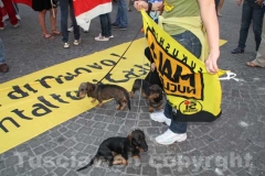 Festa per i referendum