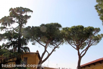 Riapre il giardino Lubich