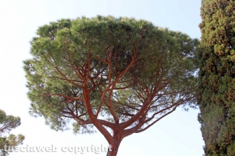 Riapre il giardino Lubich