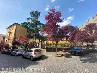 Riapre il giardino Lubich