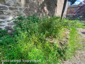 Riapre il giardino Lubich