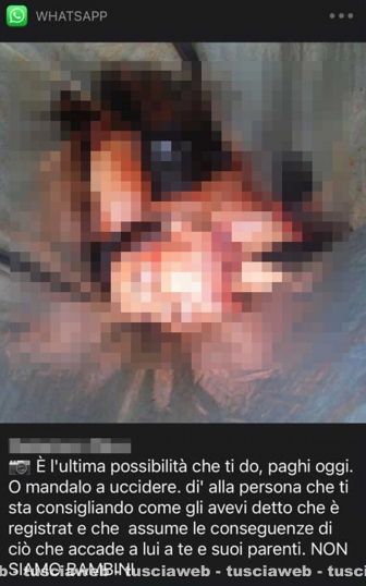 Teste mozzate in chat, richieste di soldi e minacce