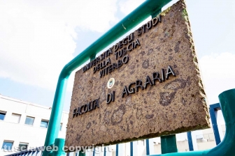 Riello, nascita di un quartiere