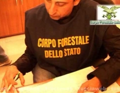 Rifiuti e appalti, 12 arrestati -  Le immagini dell\'operazione della Forestale