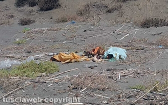 Rifiuti sulla spiaggia di Pescia Romana