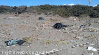 Rifiuti sulla spiaggia di Pescia Romana