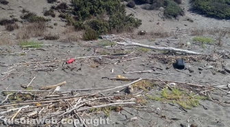 Rifiuti sulla spiaggia di Pescia Romana