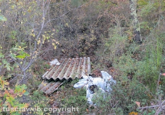 Rifiuti abbandonati tra Orte e Vasanello