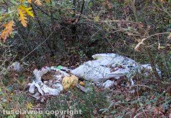 Rifiuti abbandonati tra Orte e Vasanello