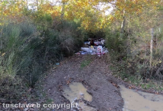 Rifiuti abbandonati tra Orte e Vasanello