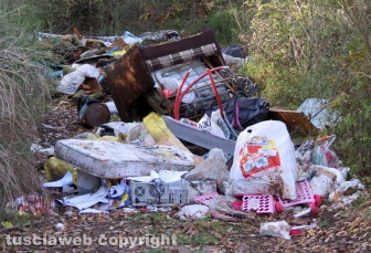 Rifiuti abbandonati tra Orte e Vasanello