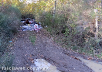 Rifiuti abbandonati tra Orte e Vasanello