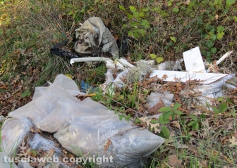 Rifiuti abbandonati tra Orte e Vasanello