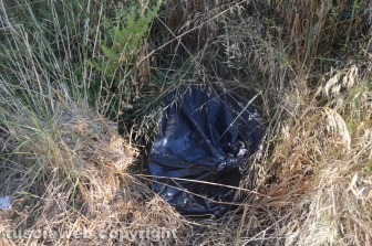 Tarquinia - Rifiuti nella strada d'ingresso di Villa Bruschi Falgari