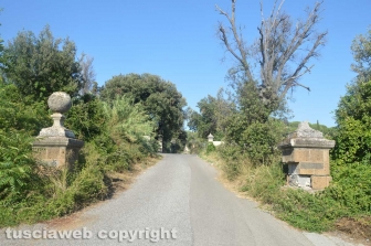 Tarquinia - La strada d'ingresso di Villa Bruschi Falgari
