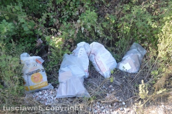 Tarquinia - Rifiuti sulla strada d'ingresso di Villa Bruschi Falgari