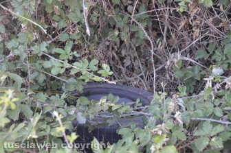 Tarquinia - Pneumatico sulla strada d'ingresso di Villa Bruschi Falgari