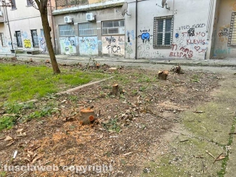 Ripulito il parco del Pilastro