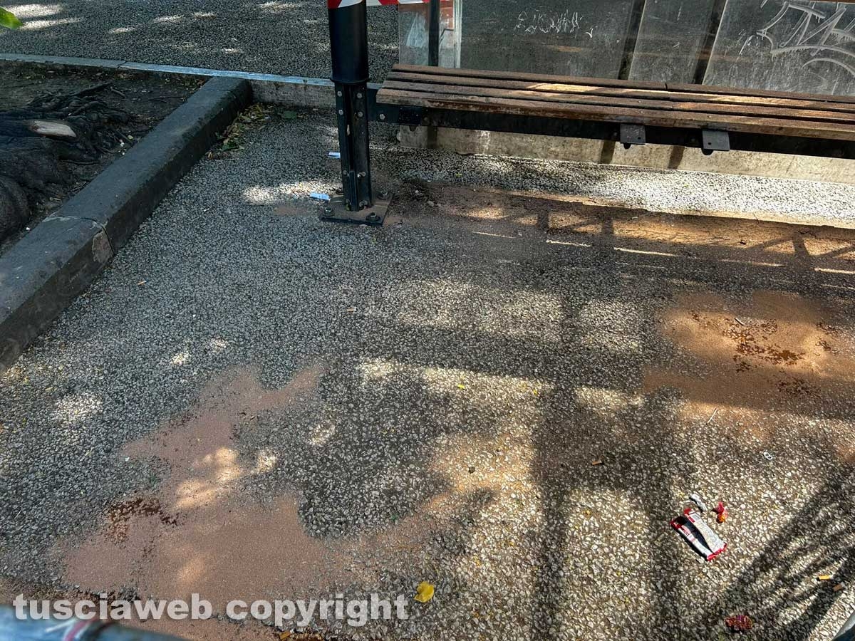 Viterbo - Rissa a bottigliate o coltellate nella notte in viale Trento - Sangue dappertutto
