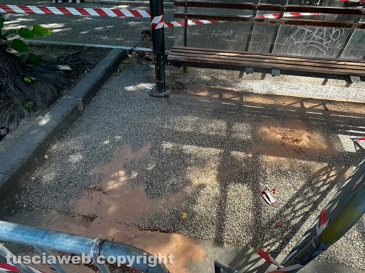 Viterbo - Rissa a bottigliate o coltellate nella notte in viale Trento - Sangue dappertutto