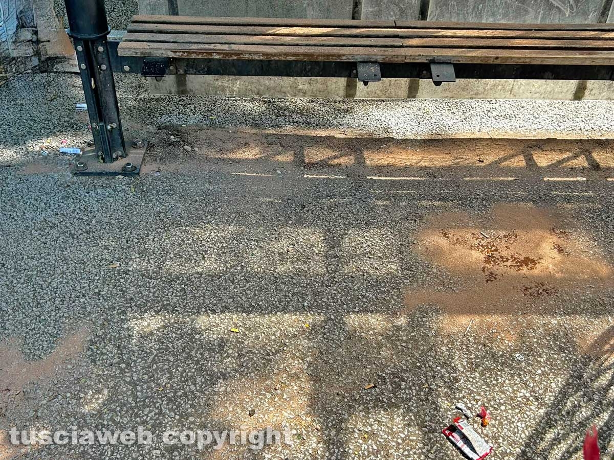 Viterbo - Rissa a bottigliate o coltellate nella notte in viale Trento - Sangue dappertutto
